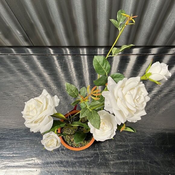 Pottery barn 18 inch white rose tree - Picture 2 of 5